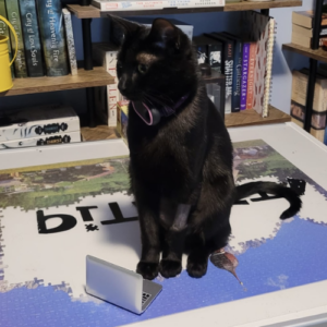 Photo of black cat sitting on a puzzle with a background of a book shelf